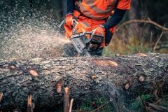 592 Xp Husqvarna Motorlu Testere 7.61 Hp Rsn X-Tough Light